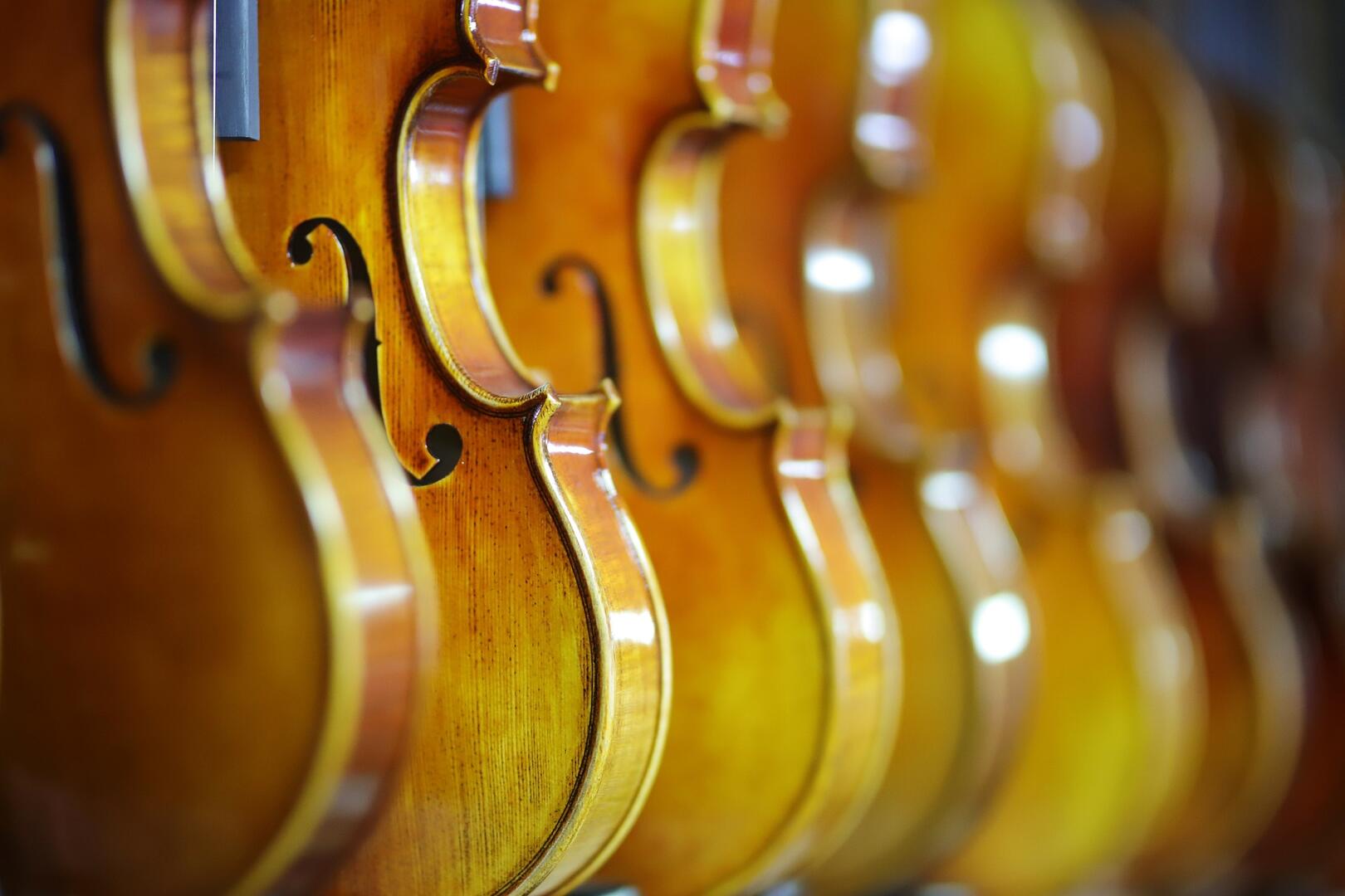 violin-g8649fb3cb_1920