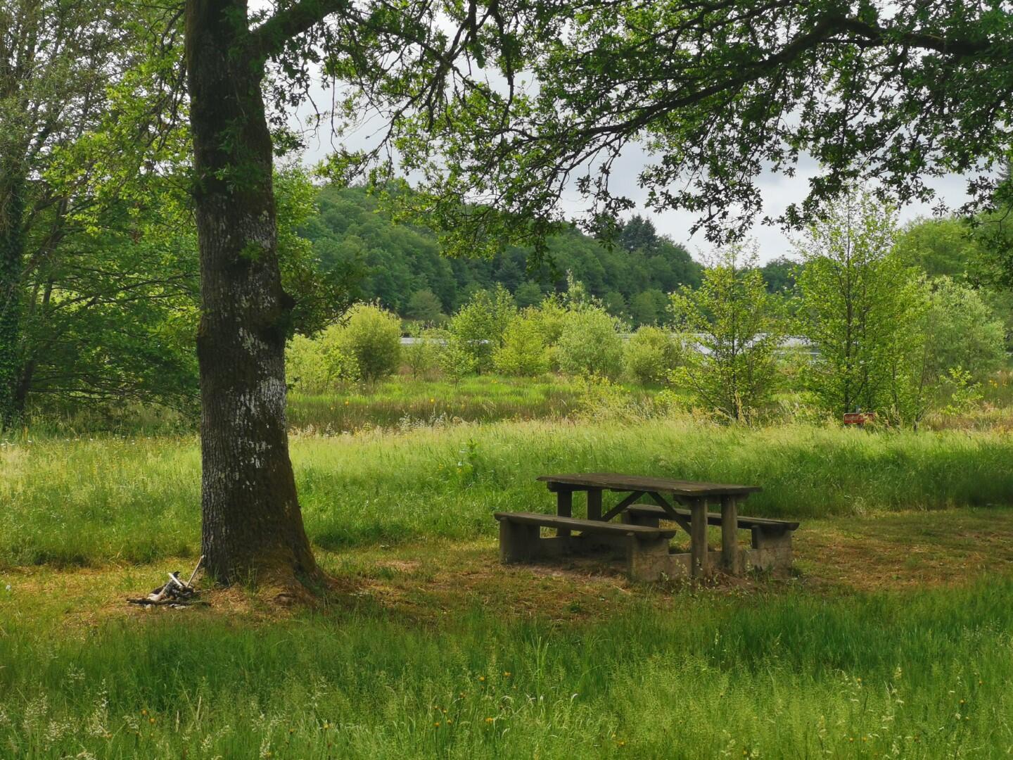 Aire de pique-nique Etang de St Dizier Leyrenne