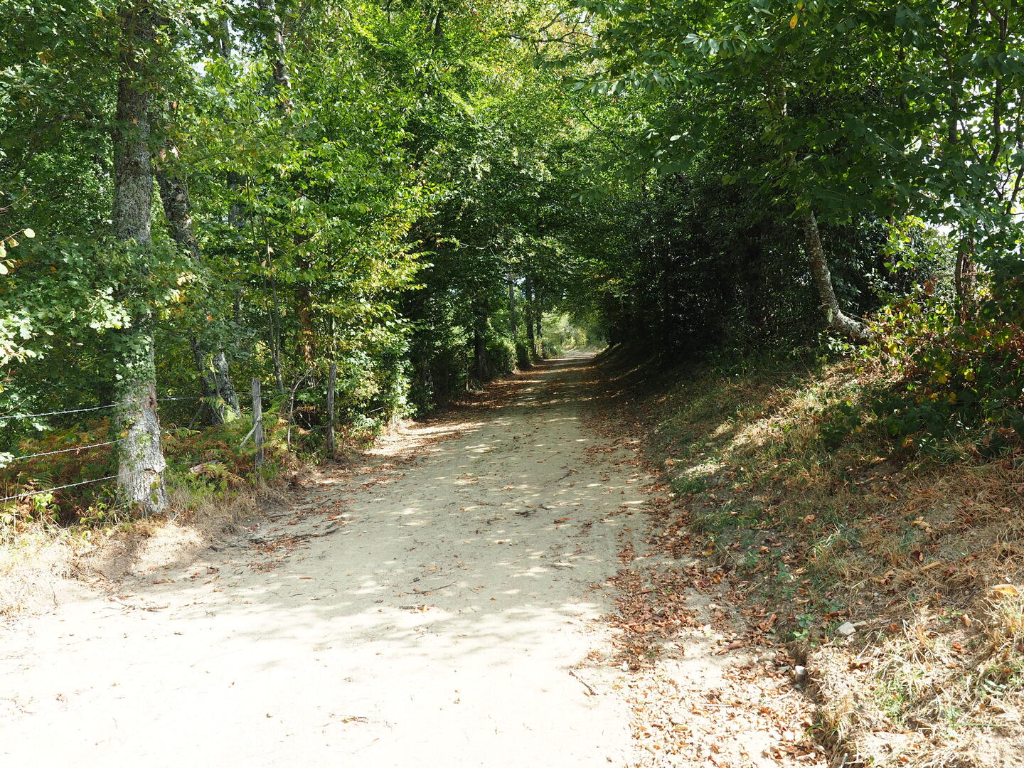 CHARRON_Chemin
