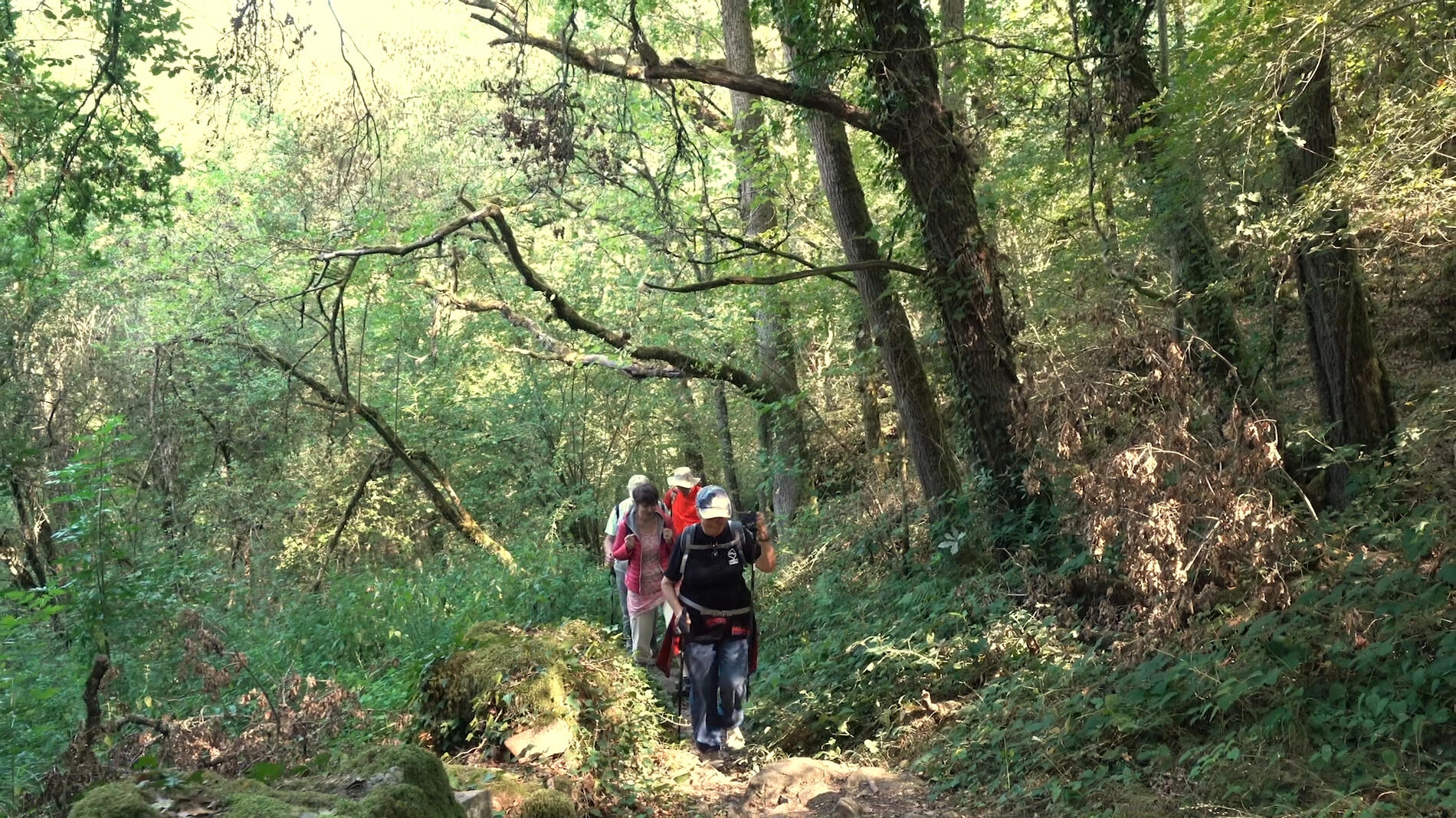 Chambon_Voueize-Rando-Gorges_voueize-Saison_Or3