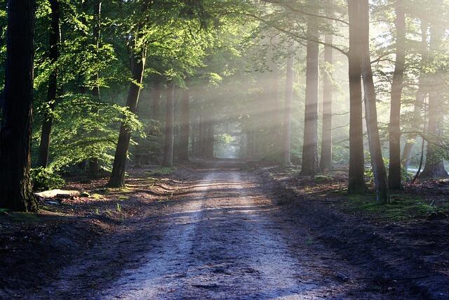 avenue-g80688c8b2_640