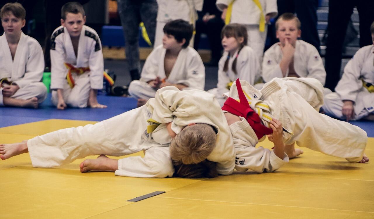 judo-4454835_1280