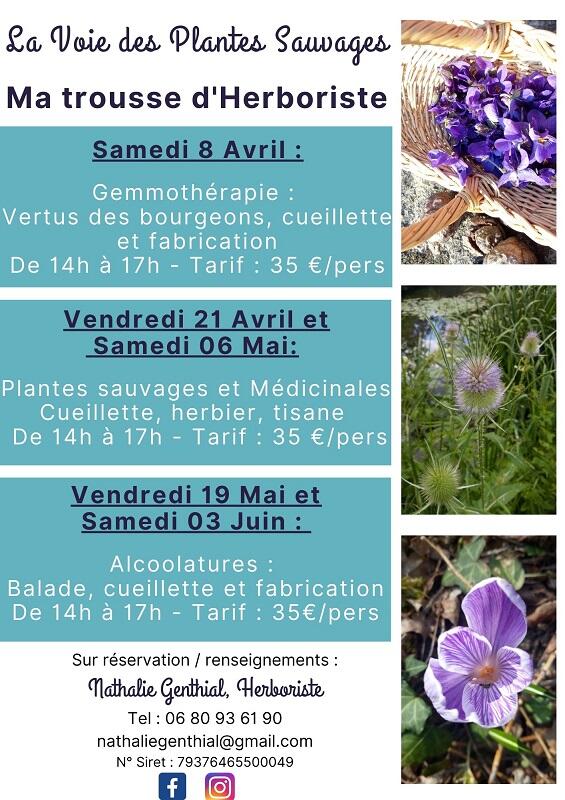 programme avril/mai - 1