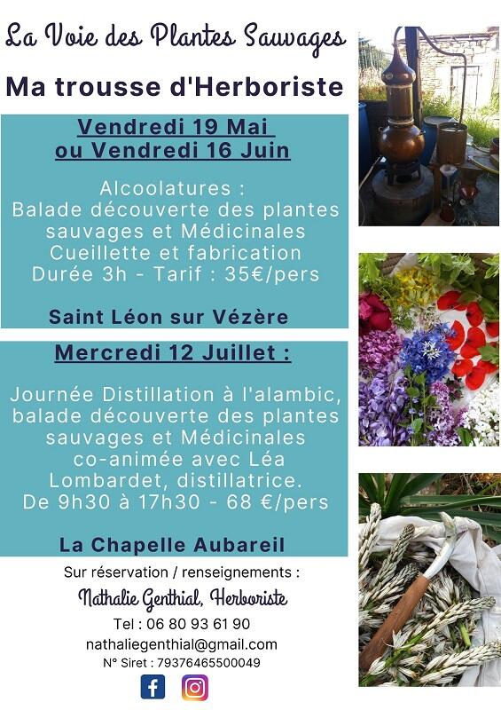 Mai Juin juillet - 1
