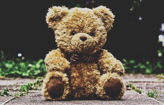 teddy-bear-3599680--340