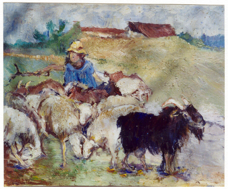 vignal