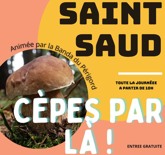 Cèpes par là !