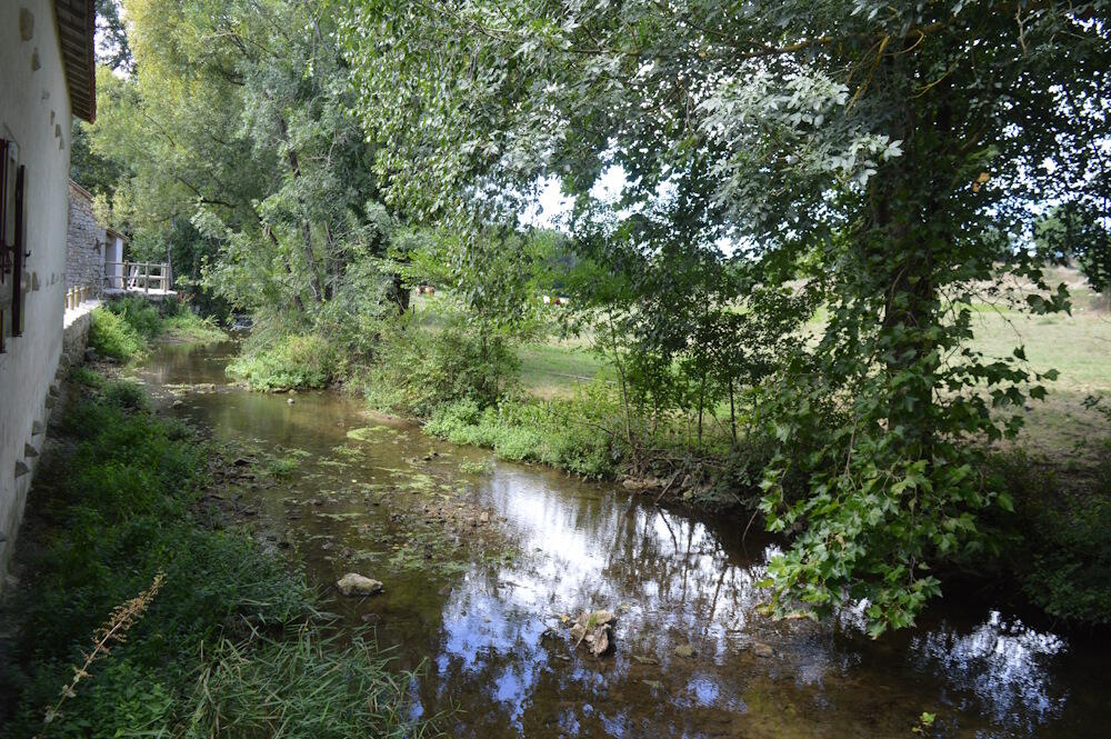DSC_0093