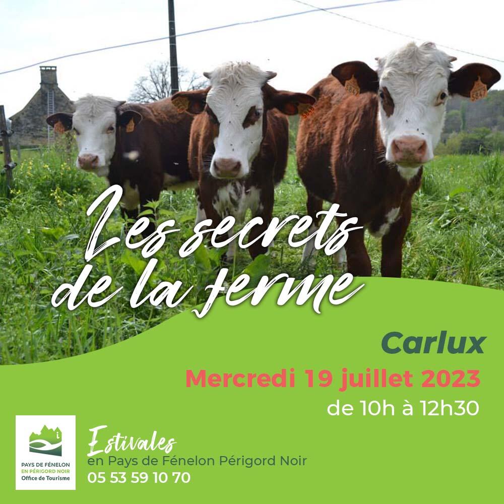 E Les secret de la ferme