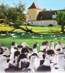 Ferme Minard