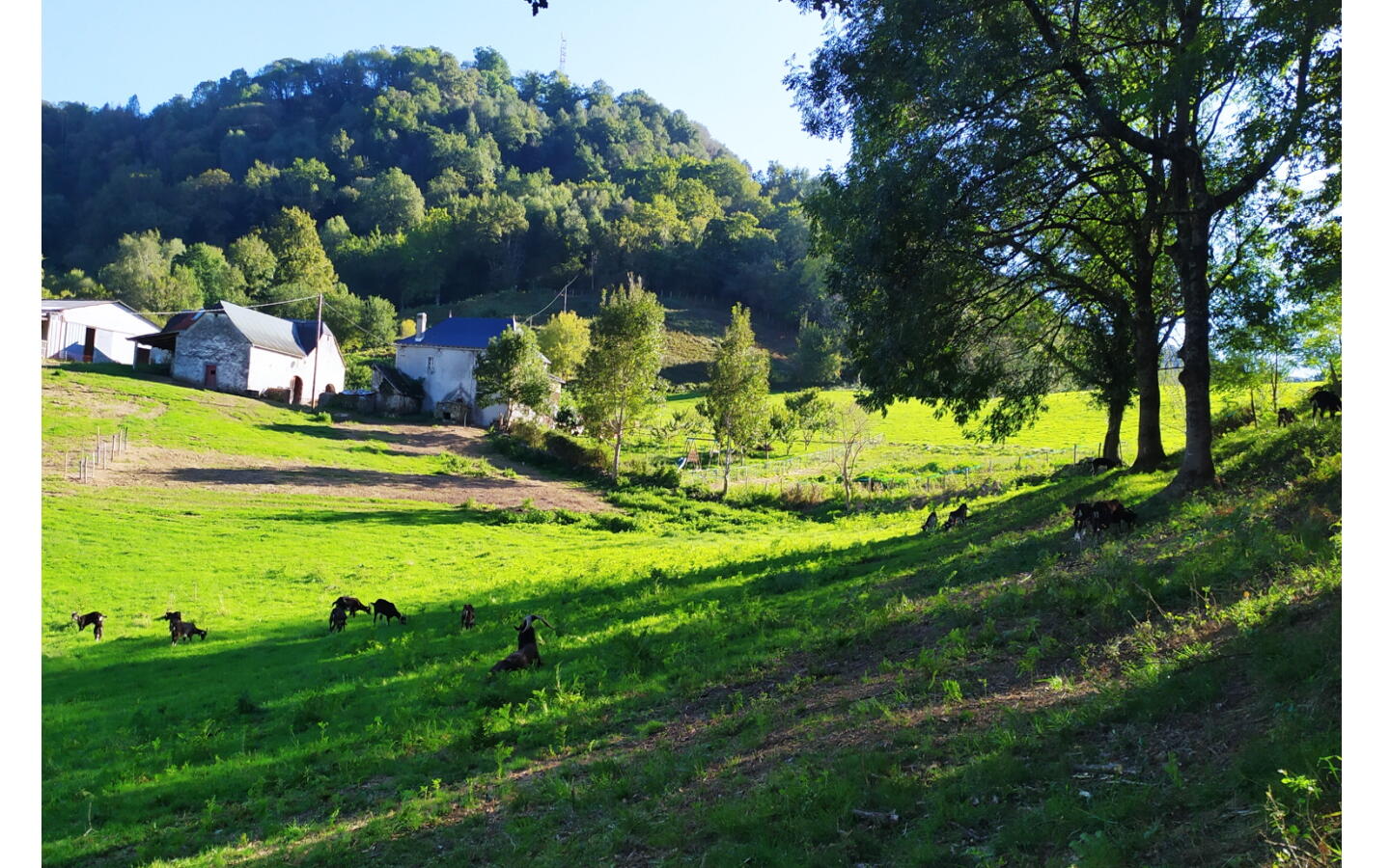 La ferme