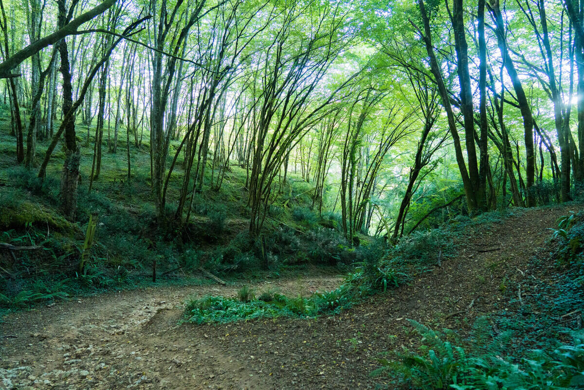 OT Vallée Vézère 2