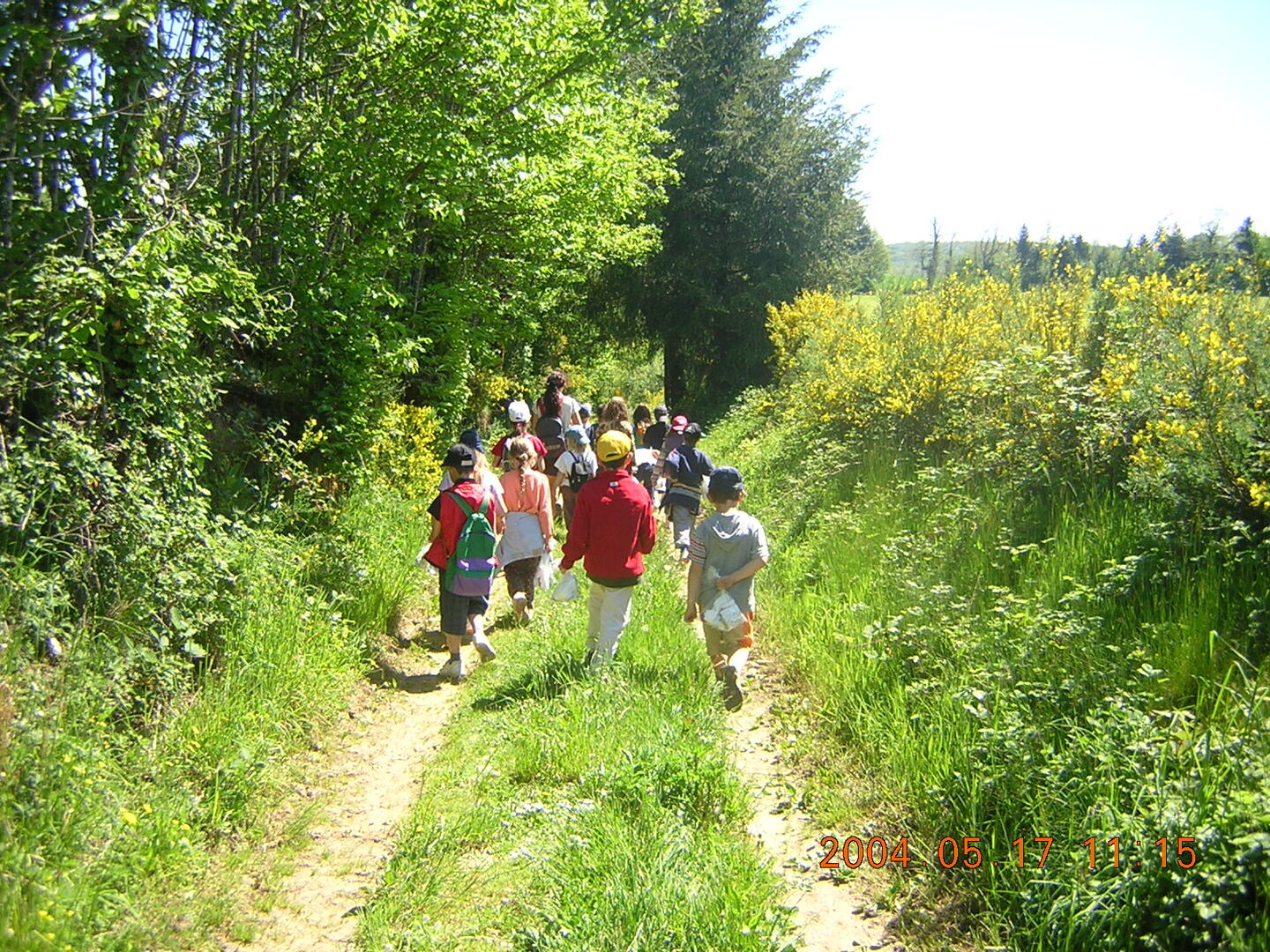 Sentier de randonnee