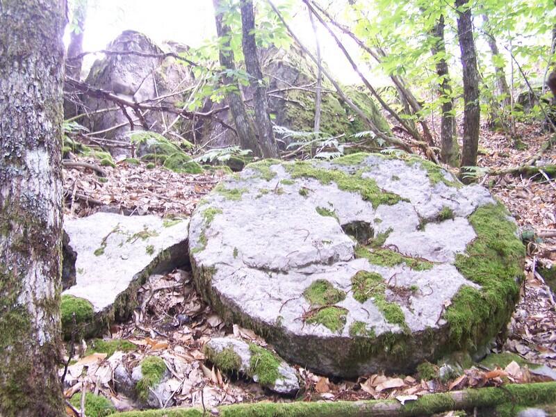 Sentier des meulières_3