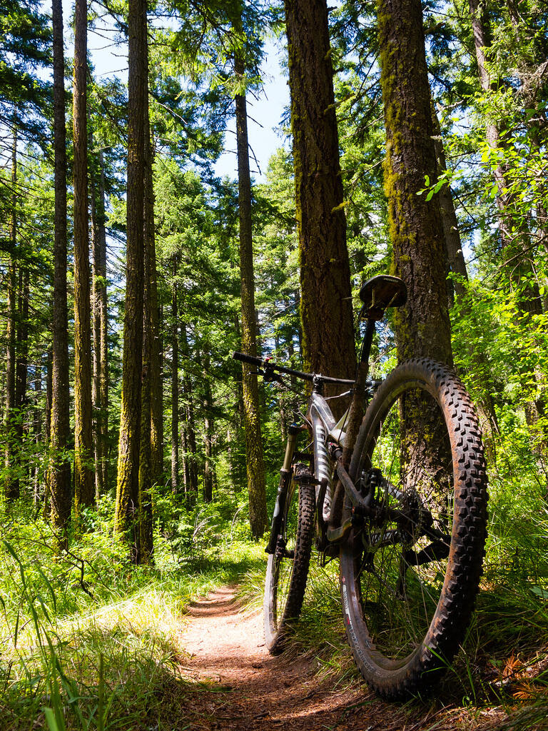VTT mussidan