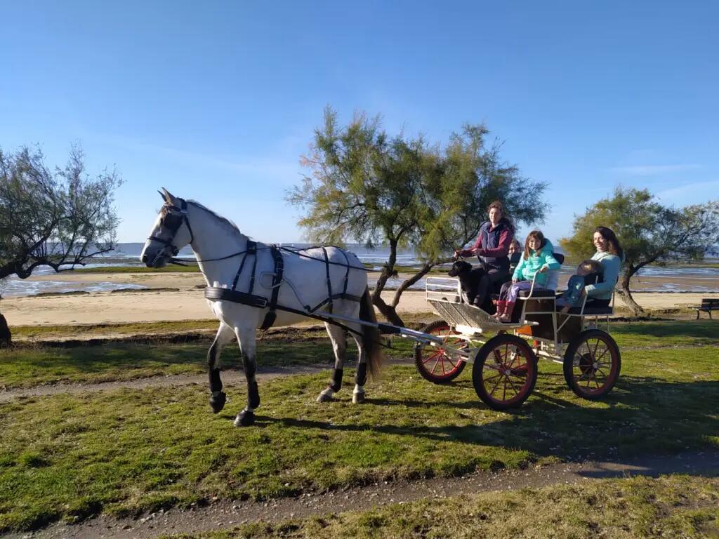 balade en calèche