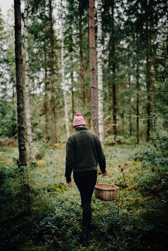 balade en forêt Ruban vert