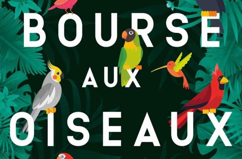 bourse aux oiseaux