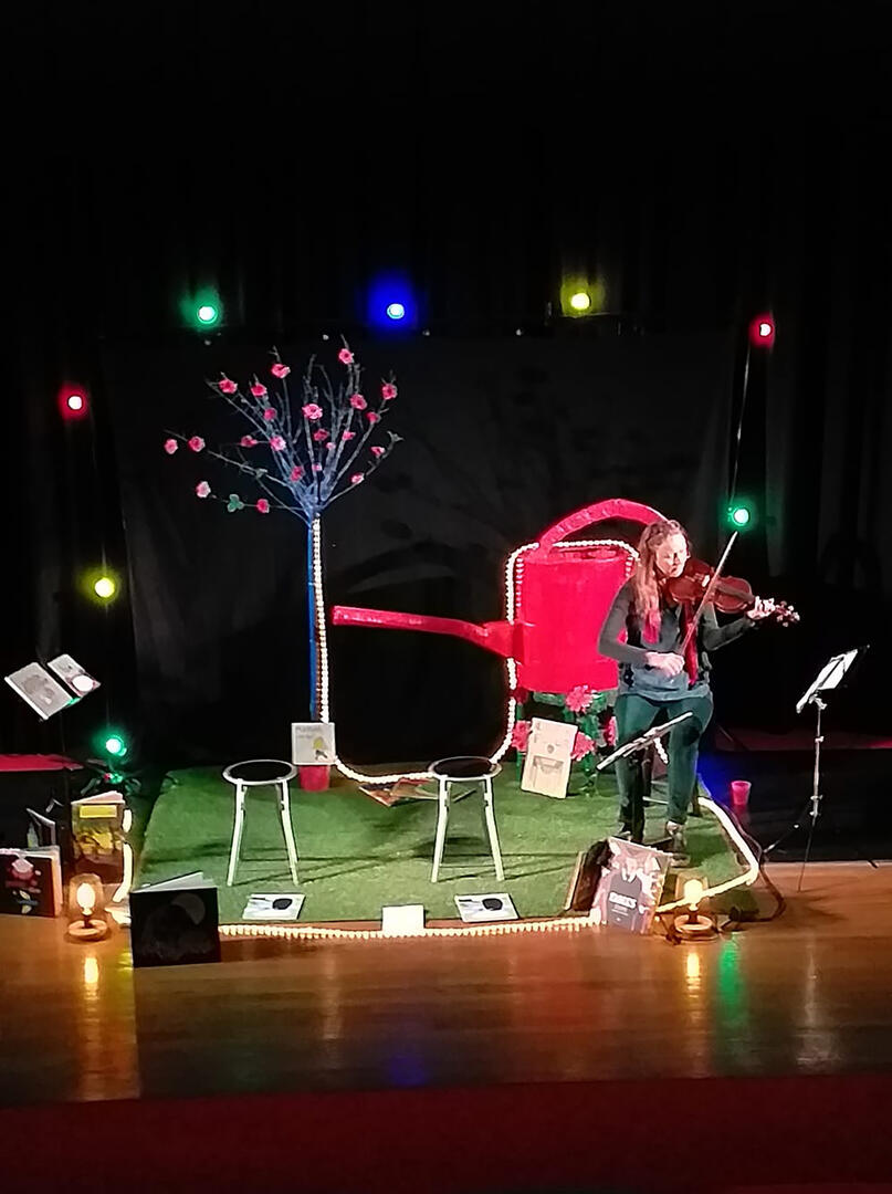 Spectacle Conte-au-violon