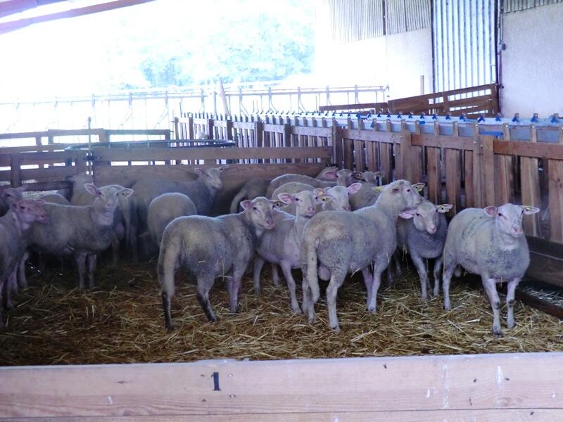 ferme du reclaud
