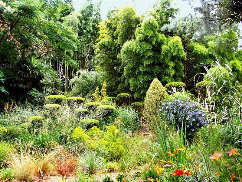 jardin plan buisson