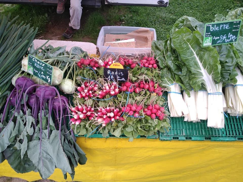 légumes la coquille