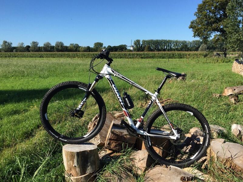 mountain-bike-1552223_960_720
