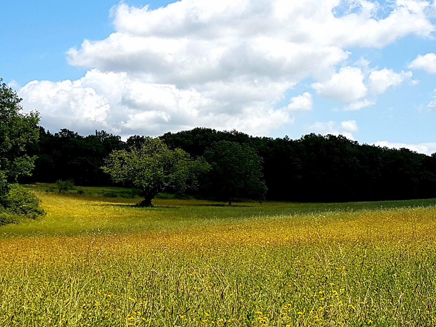 rando paysage
