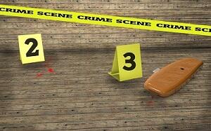 scene crime 1