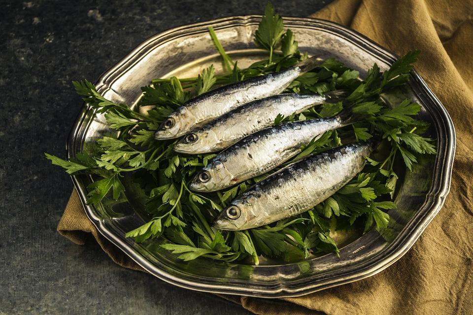 sardines-1468422_960_720