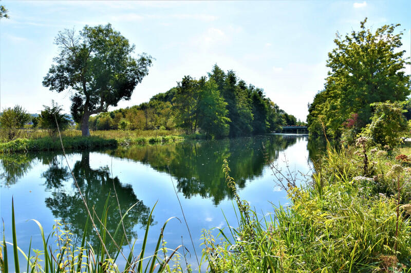 800x600_milieux-naturels-1093307