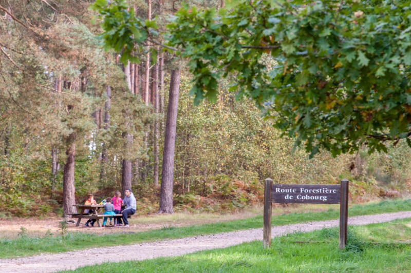 800x600_foretdebordlouviers2-normandie-photord-com-1093210