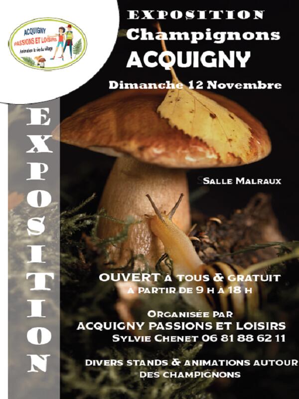 12-11-2023_Exposition de champignons_Acquigny