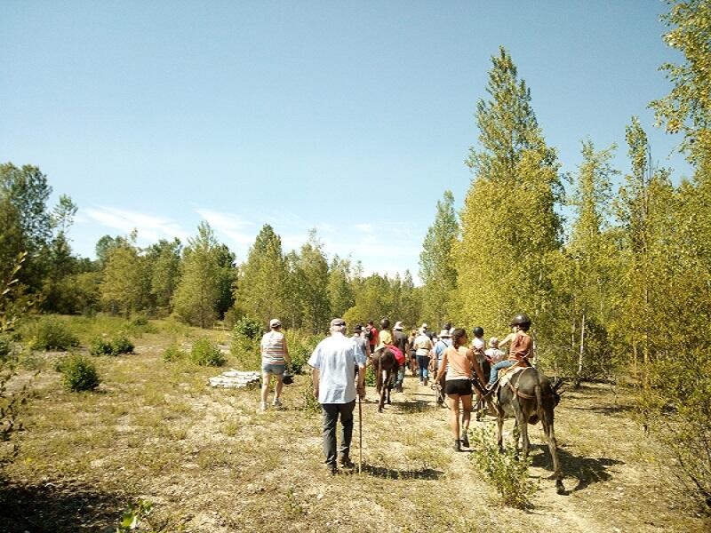 Balad'ânes Nature