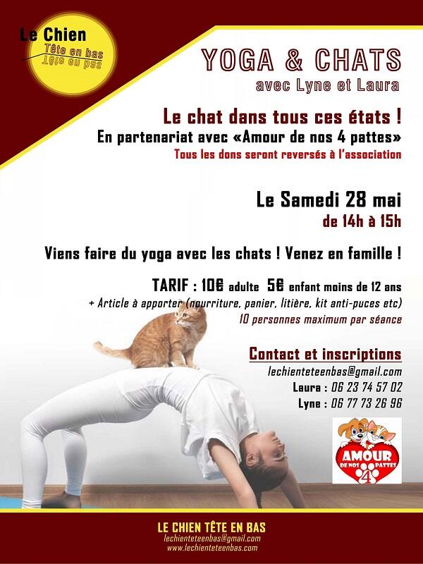 28-05-2022_Atelier yoga et chats_Louviers