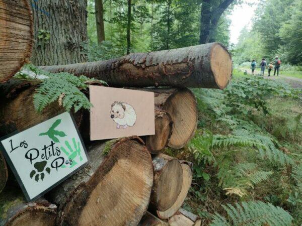 AggloSeineEure_Sorties-nature-©Quentin-Brandy_Les-Petits-Pas