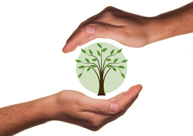 Ecologie