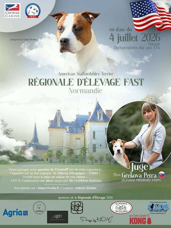 Exposition de chiens American Staffordshire Terrier