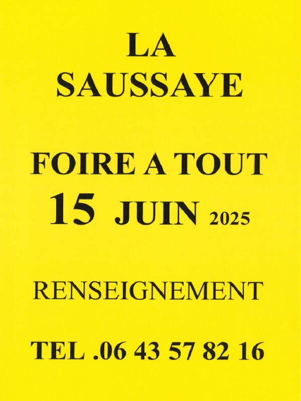 Foire à tout La Saussaye