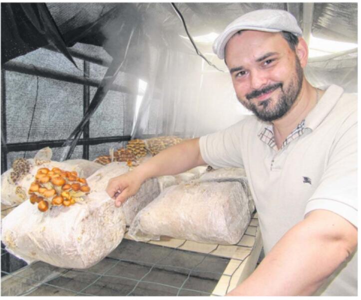REDIM gorga champignons