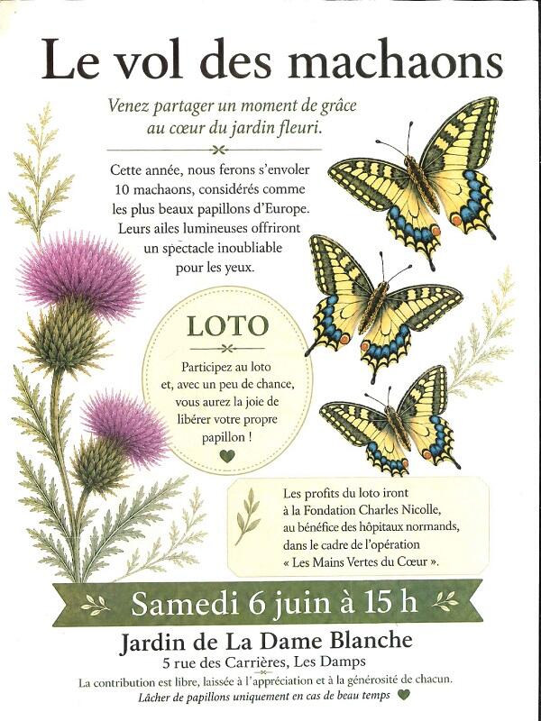 Scan-2
