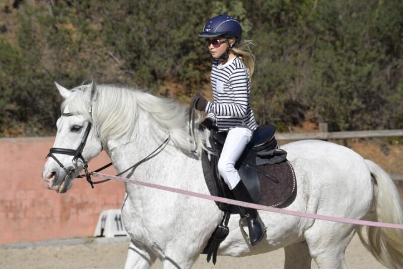 cheval_equitation