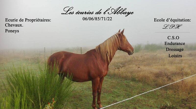 Les écuries de l'abbaye - le petit Haras