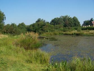 Mare St Lubin@otseineure