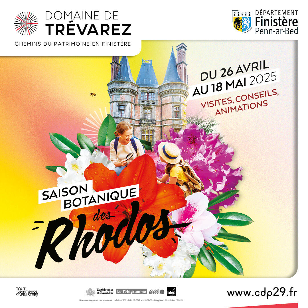 la saison botanique: Les Rhodos