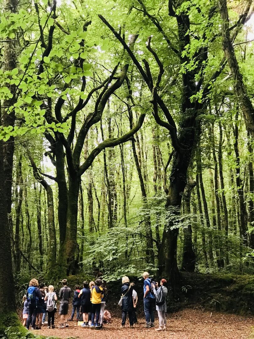 626687168_25699214759773308_1026409715088793307_n