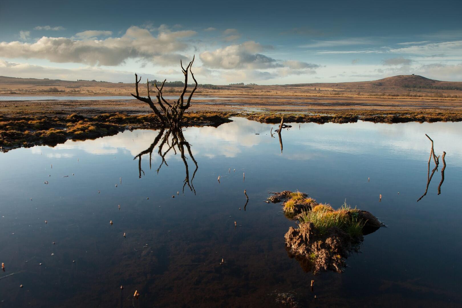 627170805_25699131986448252_4449399347838780018_n