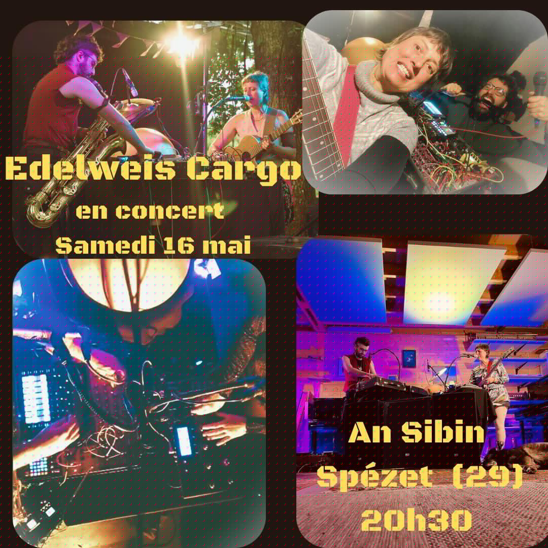 Affiche Concert de Edelweis Cargo