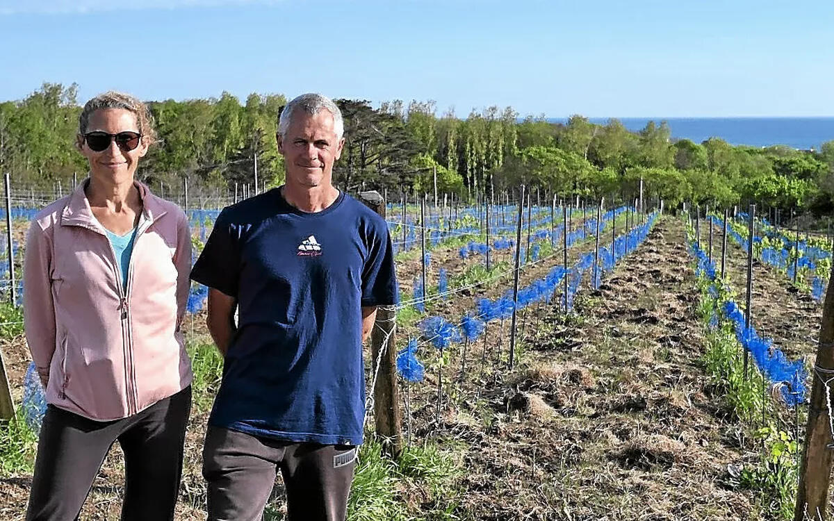 Visite du moulin de Kersandy, viticulteur