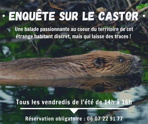 Maison reserve naturelle - Enquete sur le castor